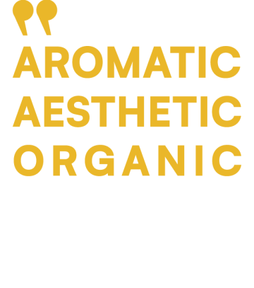 Web layout – Adan Rice-04 Web layout - Adan Rice-04